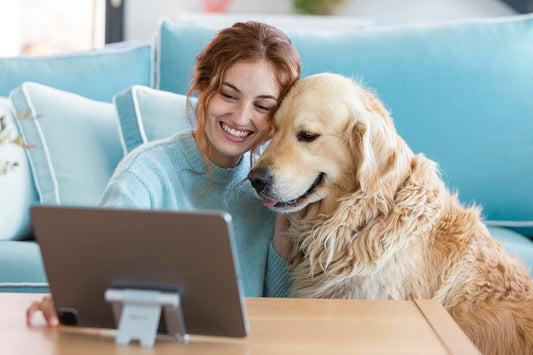 Pet Health Care Insurance