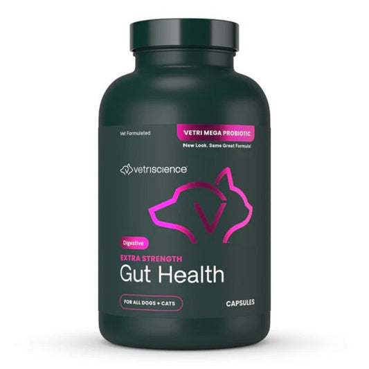 Unlocking the Power of Probiotics A Deep Dive into VetriScience Extra Strength Gut Health for Dogs & Cats