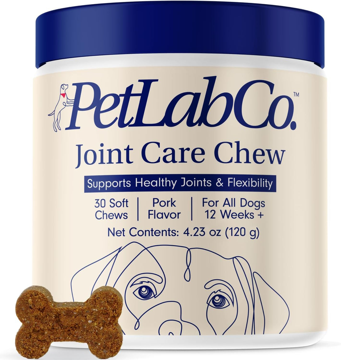 Restoring the Zoomies: Our Journey With PetLab Co. Joint Care Chews for Dogs
