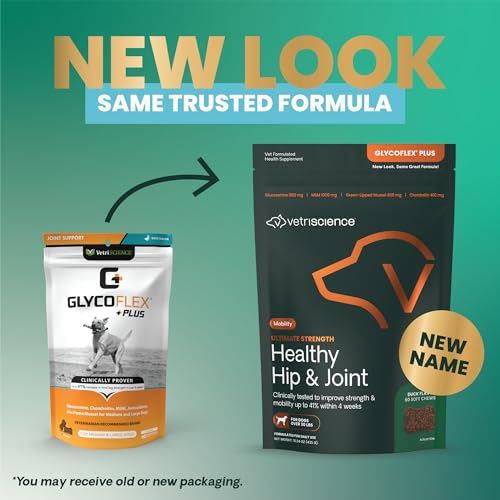 VetriScience GlycoFlex Ultimate Strength Healthy Hip & Joint Glucosamine Supplements for Dogs, with MSM, Chondroitin & Green-Lipped Mussel, Soft Chews, Duck, 120 Count - New Look