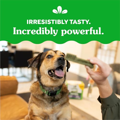 Greenies Large Dental Dog Treats, 3-Flavor Variety Pack, (3) 12 oz. Pouches, (24 Treats)