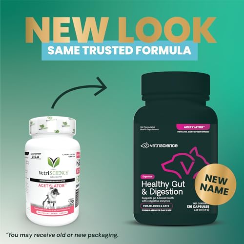VetriScience Healthy Gut & Digestion Easy-Open Capsules, Acetylator Digestive Enzyme Supplement for Dogs and Cats, Probiotics and Enzymes, Soothe Gut and Bowel Discomfort, 120 Count