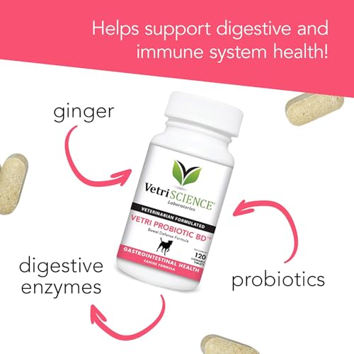 VetriScience Extra Strength Healthy Gut & Digestion Chewable Tablets, Probiotic BD Digestive Enzyme Supplement for Dogs, Probiotics and Enzymes Soothe Gut and Bowel Discomfort, Chicken, 120 Count