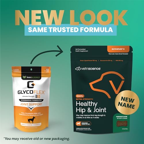 VetriScience Glycoflex 3 Clinically Proven Hip and Joint Support Supplement for Small Dogs - Maximum Strength Dog Supplement with Glucosamine, MSM, Green Lipped Mussel & DMG - 60 Chews,Chicken Flavor