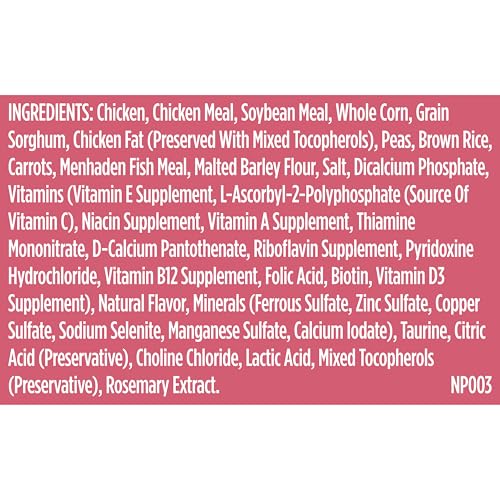 Nutrish Little Bites Small Breed Premium Natural Dry Dog Food, Real Chicken & Veggies Recipe, 6 Pounds (Packaging May Vary), (Rachael Ray Nutrish)