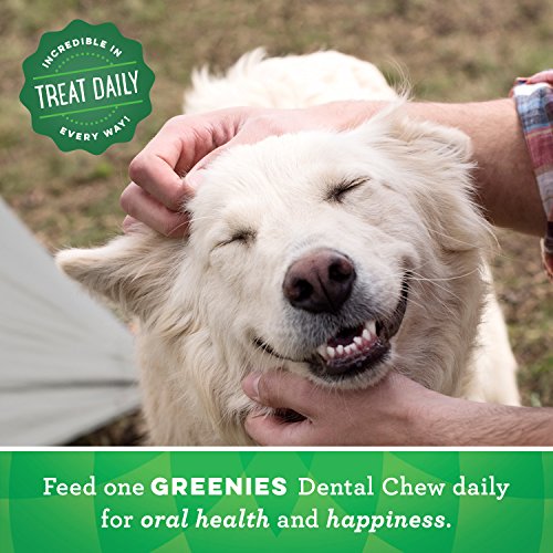 Greenies Regular Dental Dog Treats, Flavor Variety Pack (60 Treats)