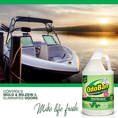 OdoBan Disinfectant Concentrate and Odor Eliminator, 1 Gallon, Original Eucalyptus Scent