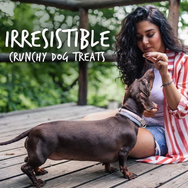 Fruitables Baked Dog Treats – Pumpkin Treats for Dogs – Healthy Low Calorie Treats – Free of Wheat, Corn and Soy – Pumpkin and Cranberry – 7 Ounces