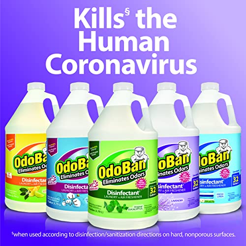 OdoBan Disinfectant Concentrate and Odor Eliminator, 1 Gallon, Original Eucalyptus Scent