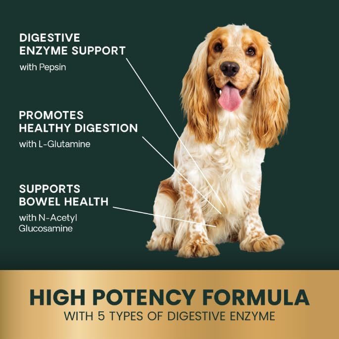 VetriScience Extra Strength Healthy Gut & Digestion Chewable Tablets, Probiotic BD Digestive Enzyme Supplement for Dogs, Probiotics and Enzymes Soothe Gut and Bowel Discomfort, Chicken, 120 Count