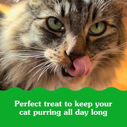 Greenies Feline Smartbites Skin & Fur Health Crunchy and Soft Cat Treats, Salmon Flavor, 4.6 oz. Pack