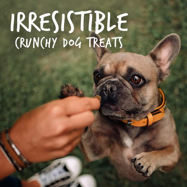 Fruitables Baked Dog Treats, Healthy Pumpkin Treat for Dogs, Low Calorie & Delicious, Free of Wheat, Corn and Soy, Made in the USA, Pumpkin and Banana Flavor, 7oz