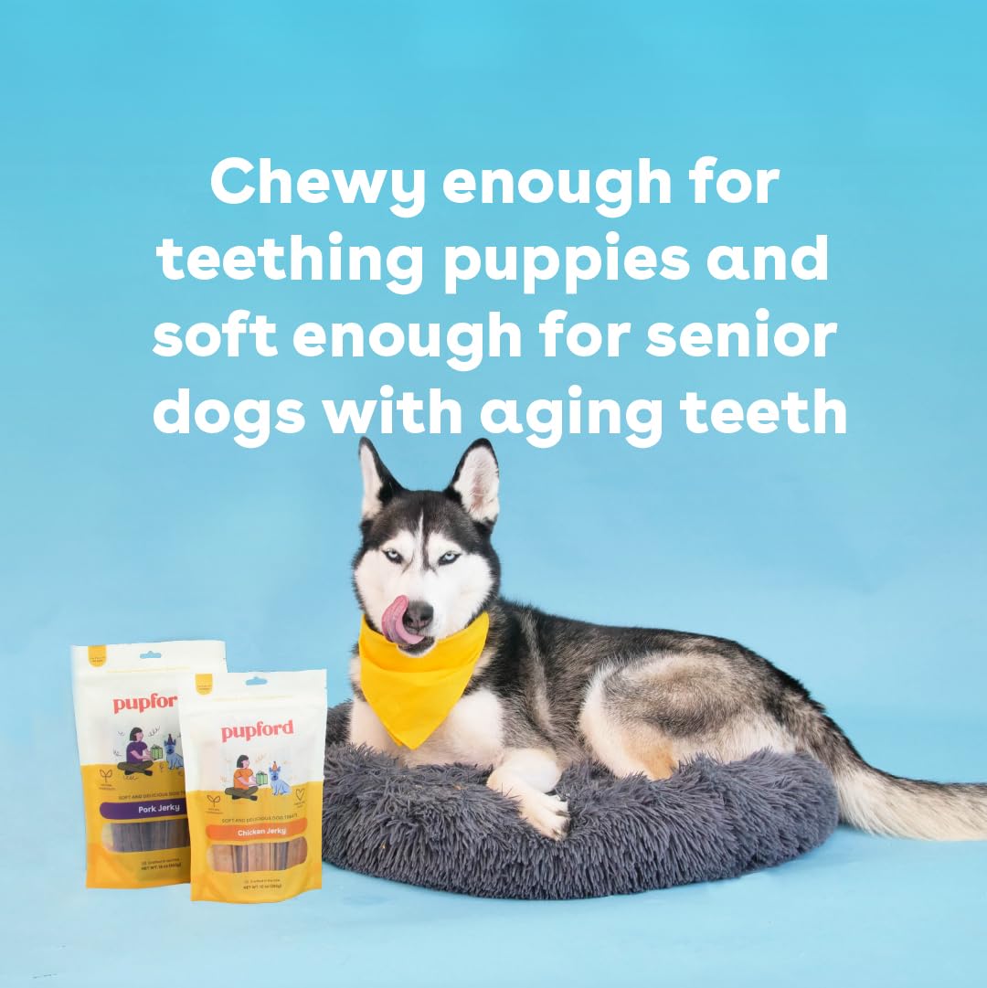Pupford Chicken Jerky for Dogs & Puppies, All-Natural, Healthy Dog Treats, No Fillers, Made in USA (10 oz)