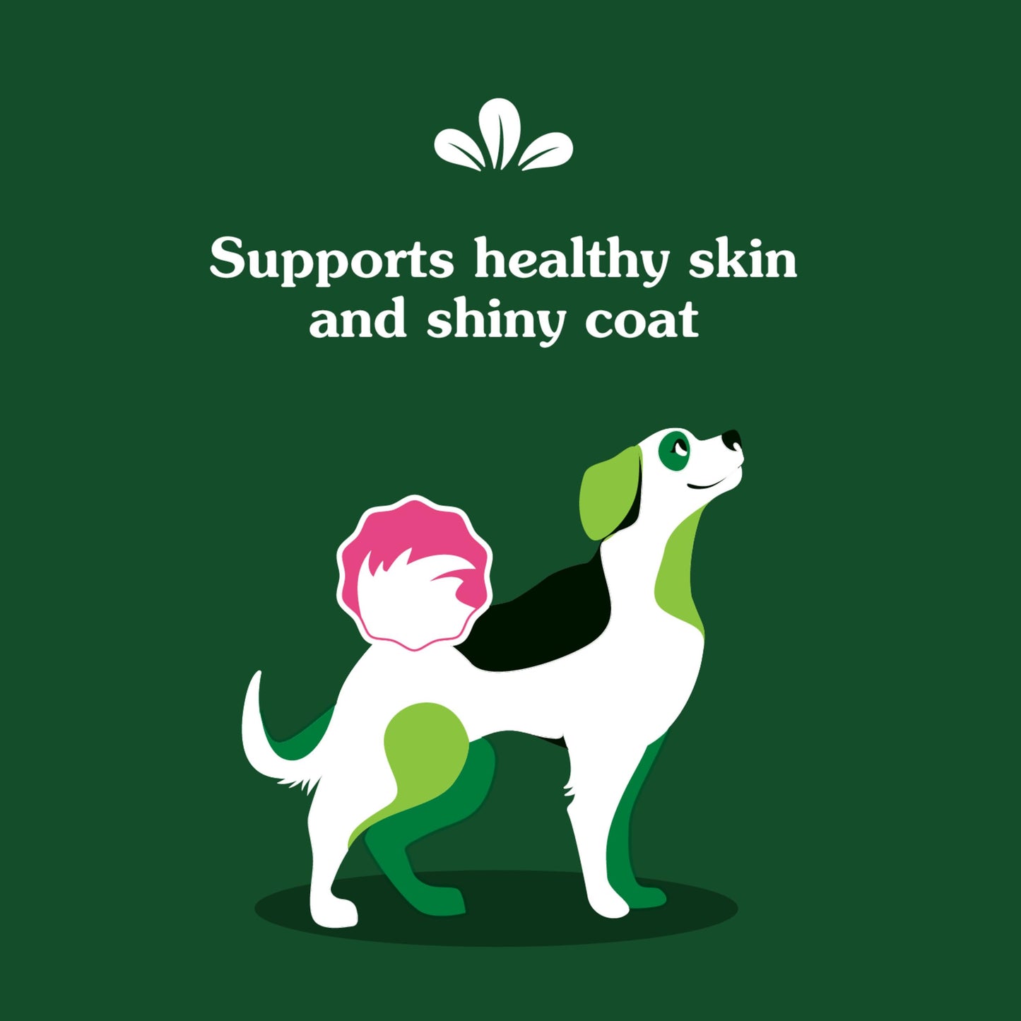 Greenies Supplements Dog Skin and Coat Supplements with Fish Oil & Omega 3 Fatty Acids, Chicken Flavor, 7.37 oz. 40-Count