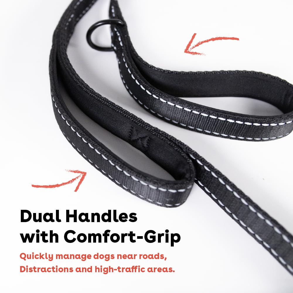 Pupford 6 Foot Double Handle Heavy Duty Training Leash for Dogs