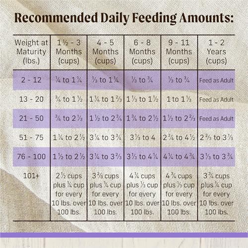 Merrick Healthy Grains Freeze Dried Raw Coated Kibble, Natural High Protein Puppy Food, Chicken and Brown Rice - 22.0 lb. Bag