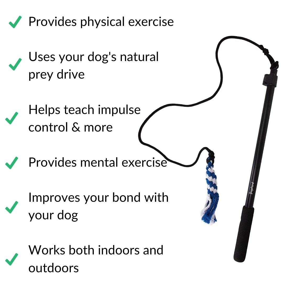 Pupford Flirt Pole for Large Dogs - Training, Exercise and Play for Puppies and Adult Dogs