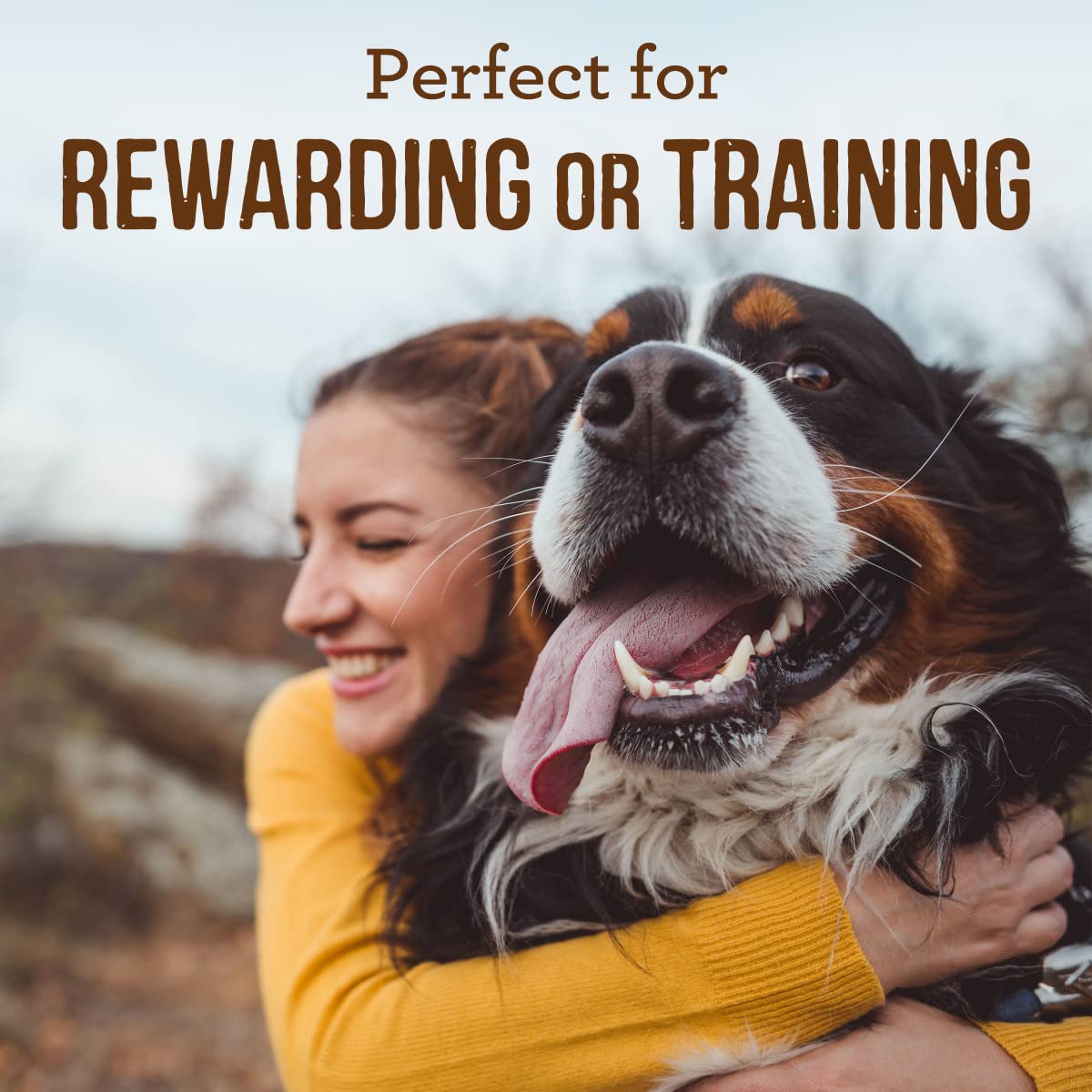 Merrick Power Bites Dog Treats Big Bites, Beef and Sweet Potato Recipe - 6 oz Bag