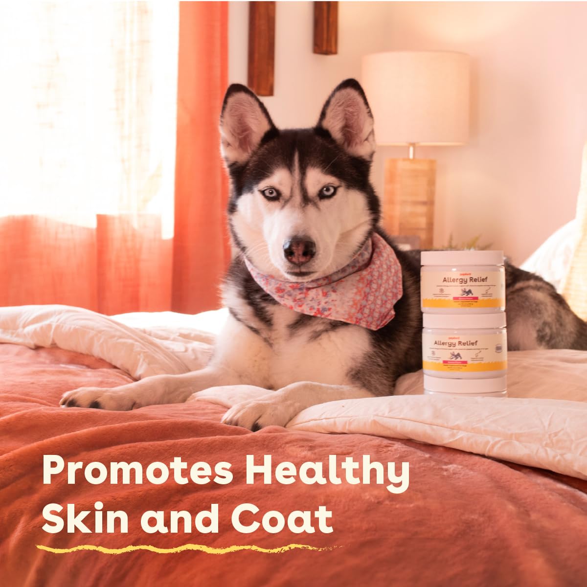 Pupford Dog Allergy Relief Chews, Health Supplement for Seasonal Allergens & Itchy Skin, Salmon Flavor, 60 Soft Chews