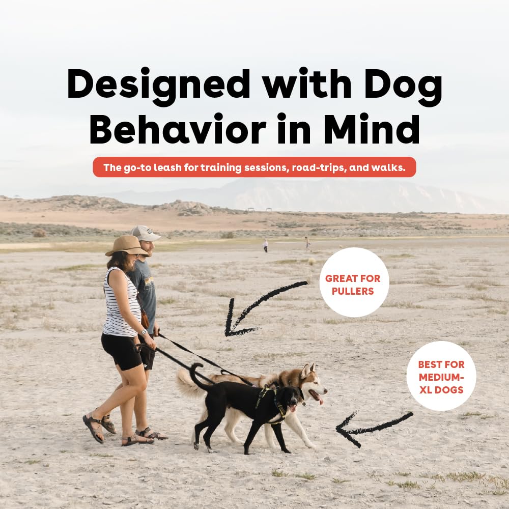 Pupford 6 Foot Double Handle Heavy Duty Training Leash for Dogs