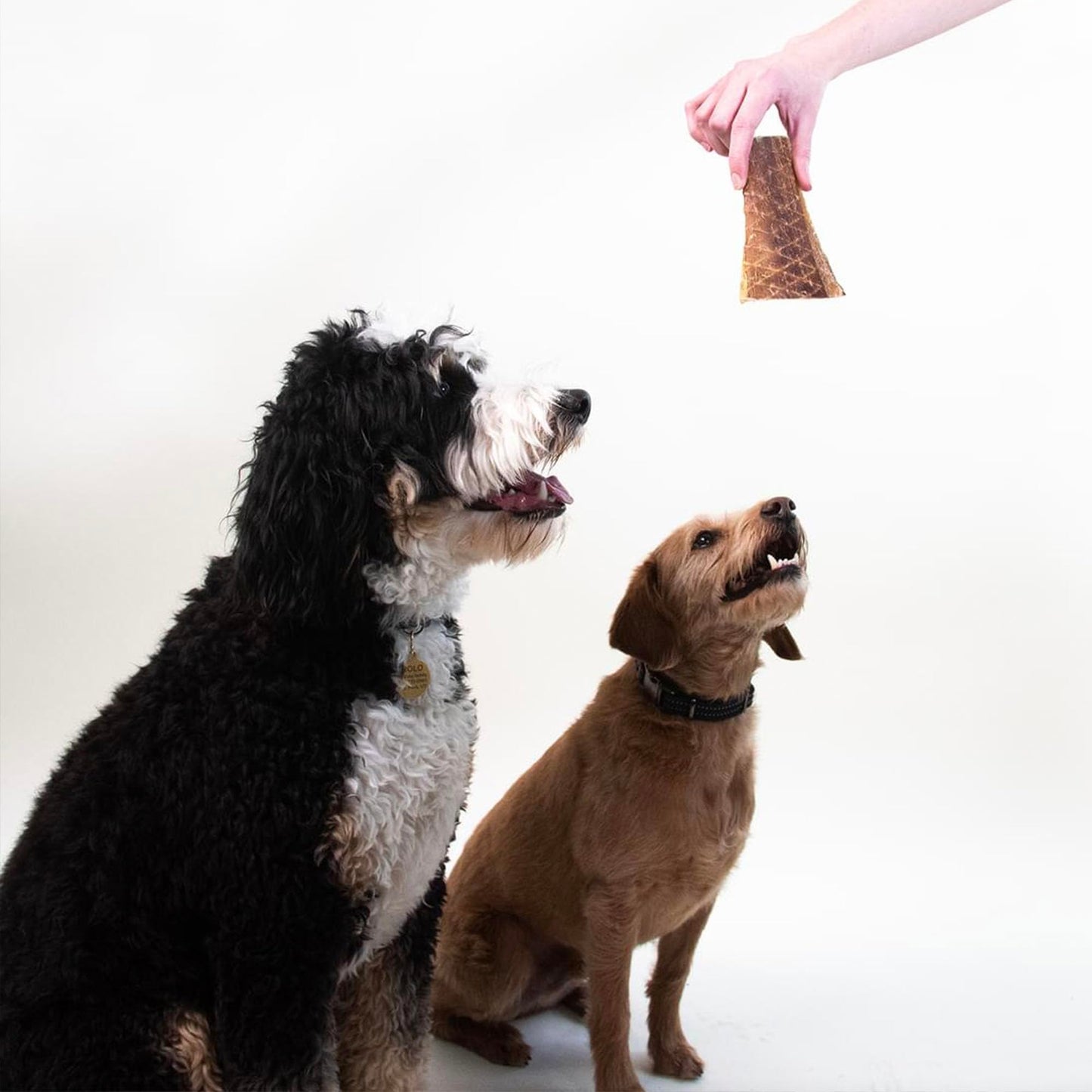 Pupford Crunchy Jerky Treats for Dogs & Puppies, Made in USA, Single Ingredient, No Fillers (Beef, 4 oz)