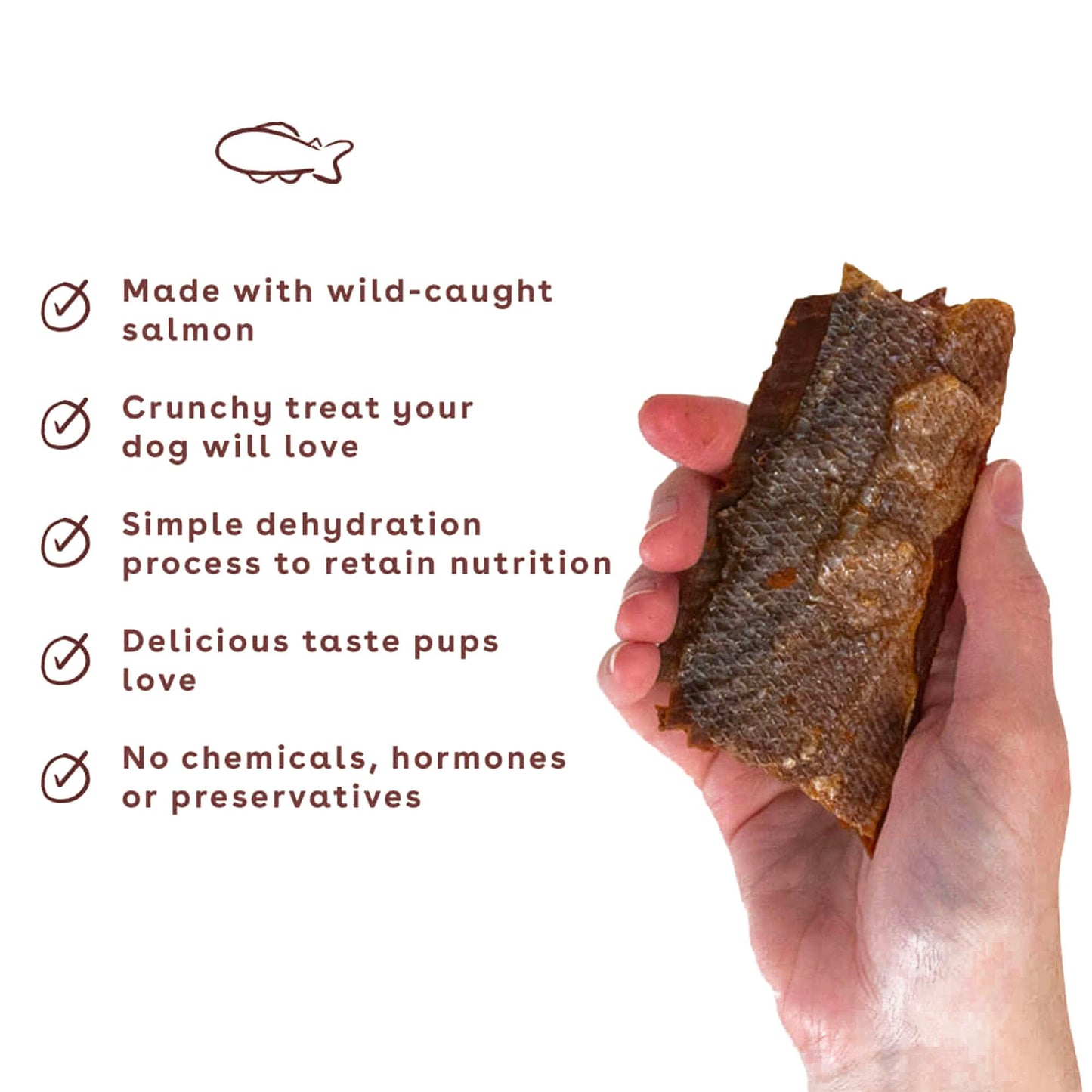 Pupford Crunchy Jerky Treats for Dogs & Puppies, Made in USA, Single Ingredient, No Fillers (Salmon, 4 oz)