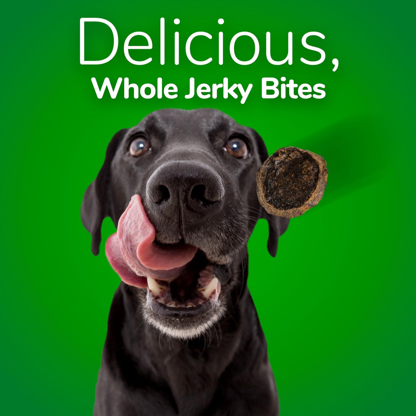 Fruitables Small Dog Treats – Whole Jerky Bites – Healthy Treats – Bacon & Apple Flavor – 5 Ounces