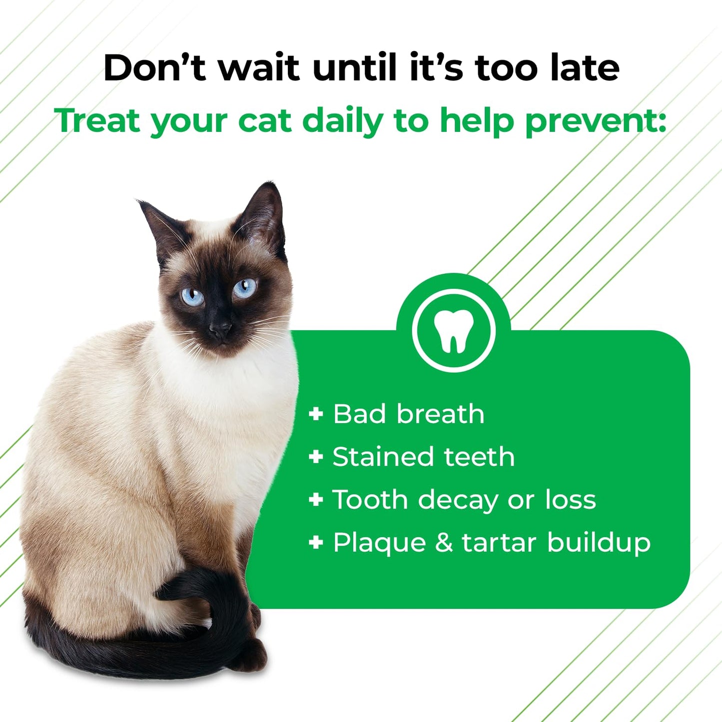 VetriScience Perio Plus Cat Teeth Cleaning Bites - Advanced Cat Breath Freshener - Dual Action Cat Dental Care Formula for Plaque Control & Fresh Breath, 60 Chews, Chicken Flavor