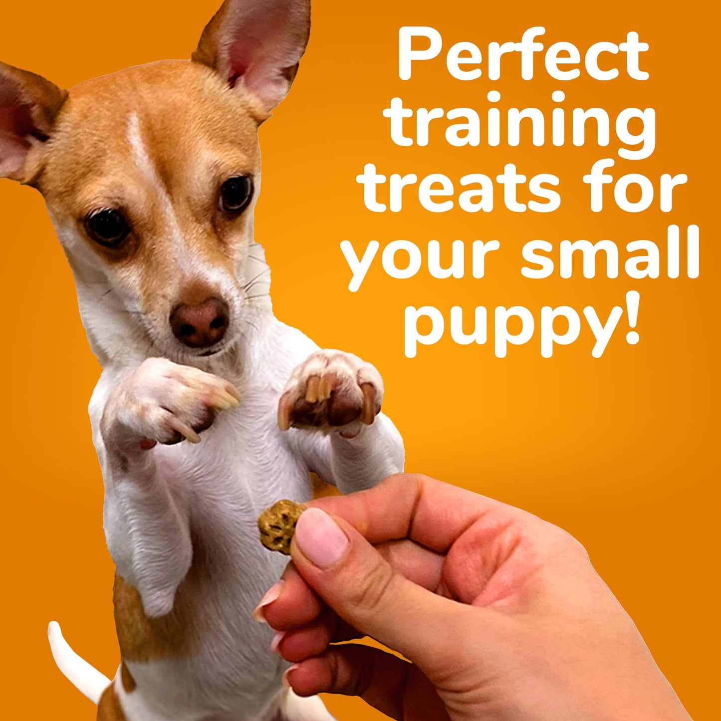 Fruitables Skinny Mini Dog Treats Healthy Apple Bacon Flavored Dog Snacks Low Calorie Training Treats Wheat, Corn & Soy Free 5 Ounces (Pack of 4)