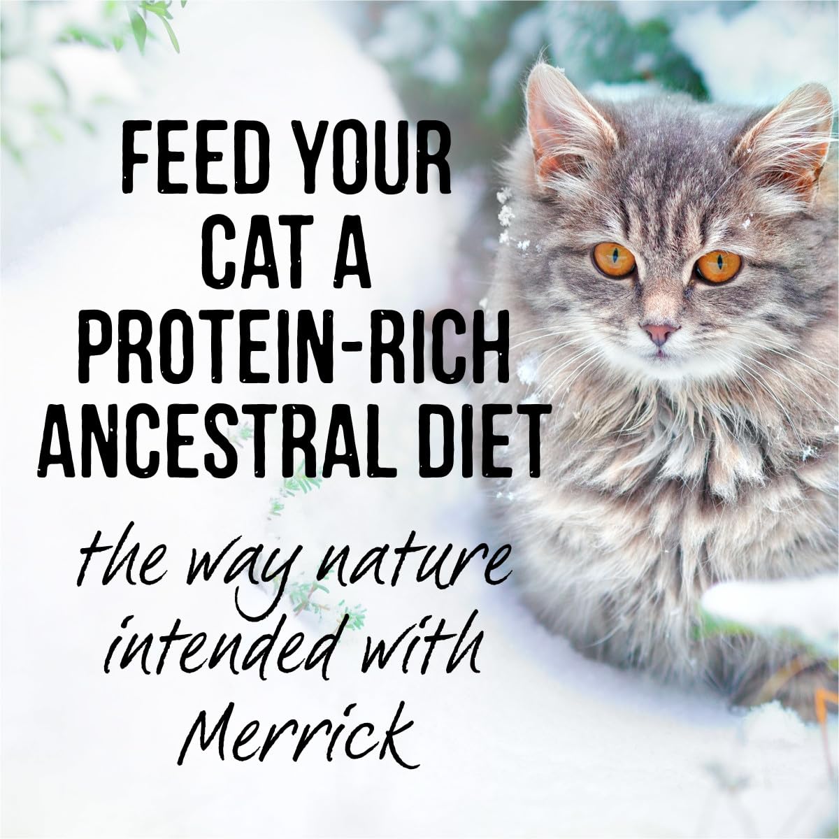 Merrick Backcountry Grain Free Gluten Free Premium Wet Cat Food Variety Pack, Poultry Recipes Cuts with Gravy - (Pack of 12) 2 lb. Pouches