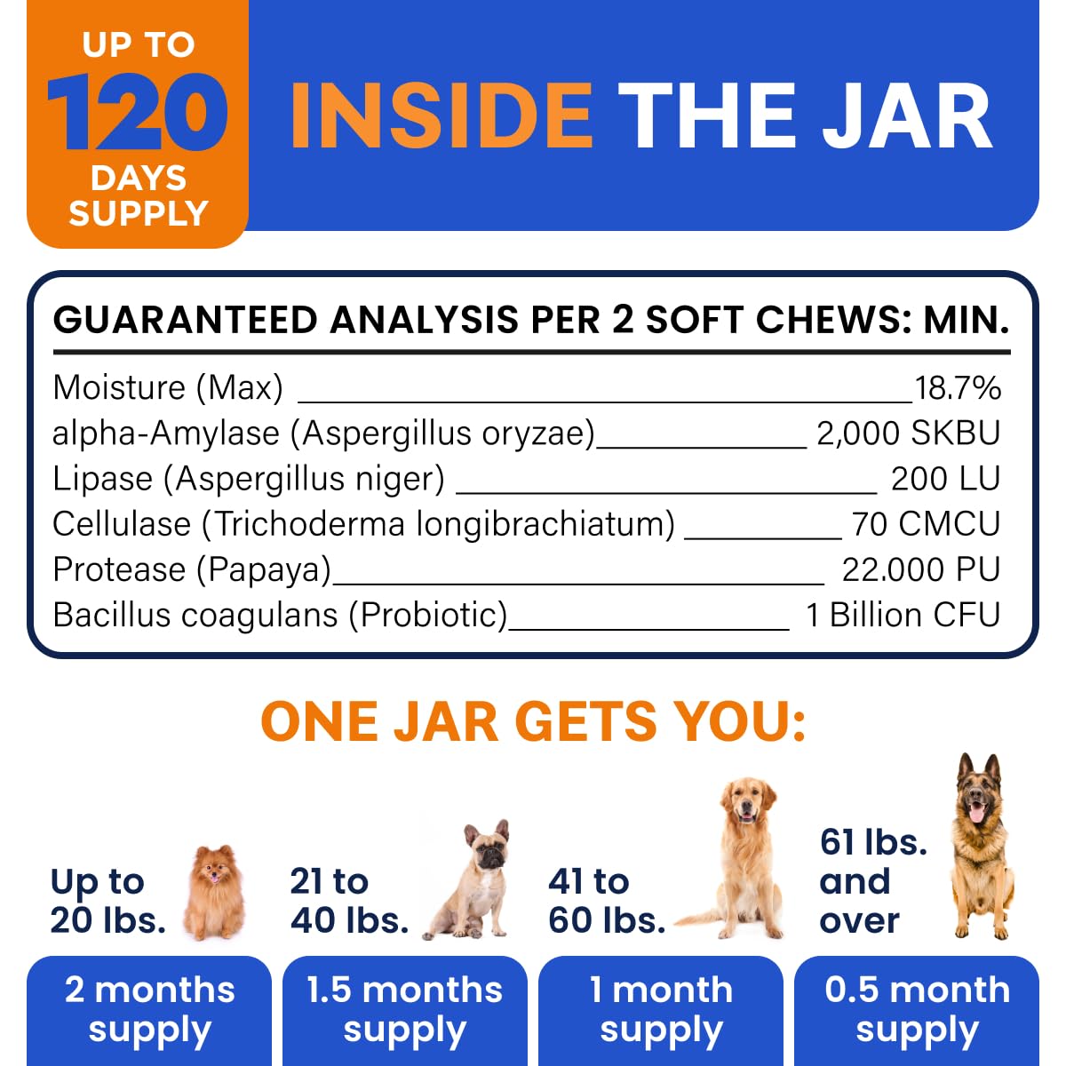 Bark&Spark Vet Strength Dog Probiotics Chews & Digestive Enzymes for Allergies Itchy Skin - Dogs Digestive Health - Gas, Diarrhea, Constipation Relief Pills - Prebiotics for Dogs Gut Health (120 Ct)