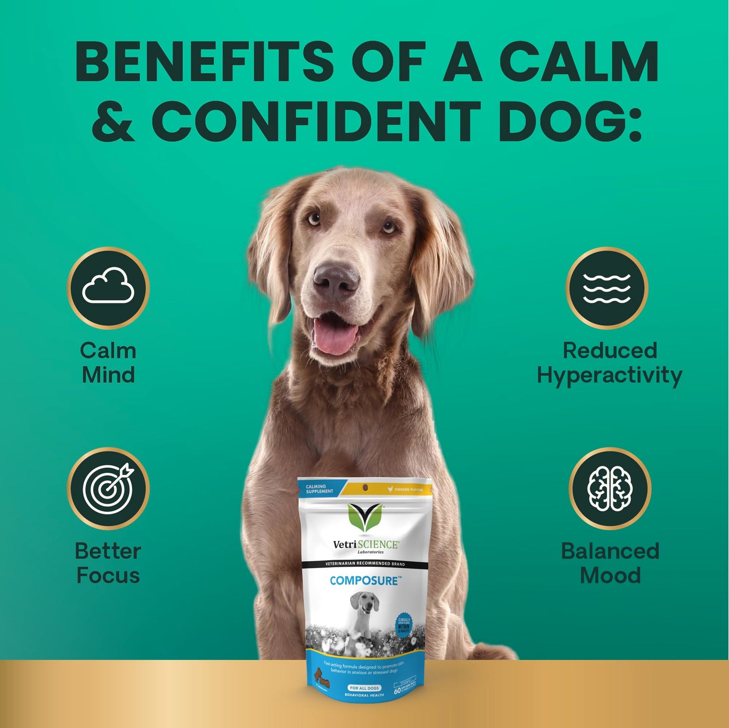 VetriScience Calm & Confident Chews, Composure Clinically Tested Calming and Anxiety Supplement for Dogs, Reduce Stress and Fear, Ideal for Thunderstorms, Fireworks and Travel, Bacon, 120 Count