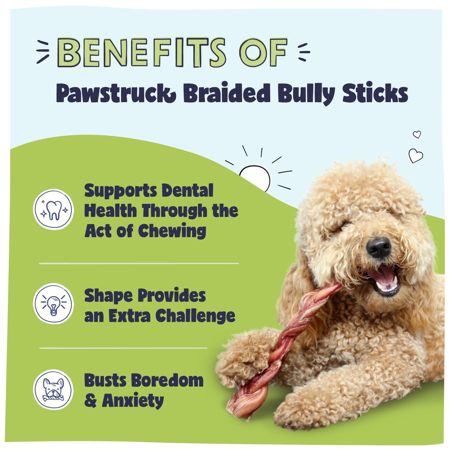 Pawstruck Natural 12" Braided Bully Sticks for Dogs – Tough, Long-Lasting, Rawhide-Free, Low-Odor, Single Ingredient Chew Treat for Aggressive Chewers – 5 Count – Packaging May Vary
