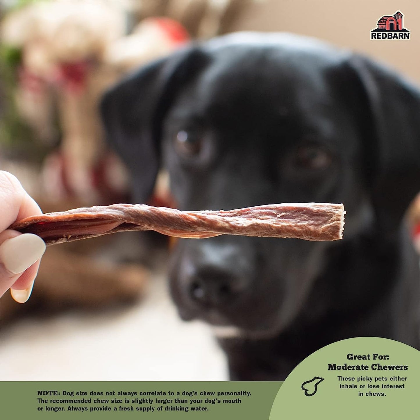 Redbarn Pet Products Natural Bully Slims Beef Chews for Dogs - 4.7 Oz Case of 10 Bags - Natural, Grain-Free, Highly Palatable, Highly Digestible Esophagus Treats