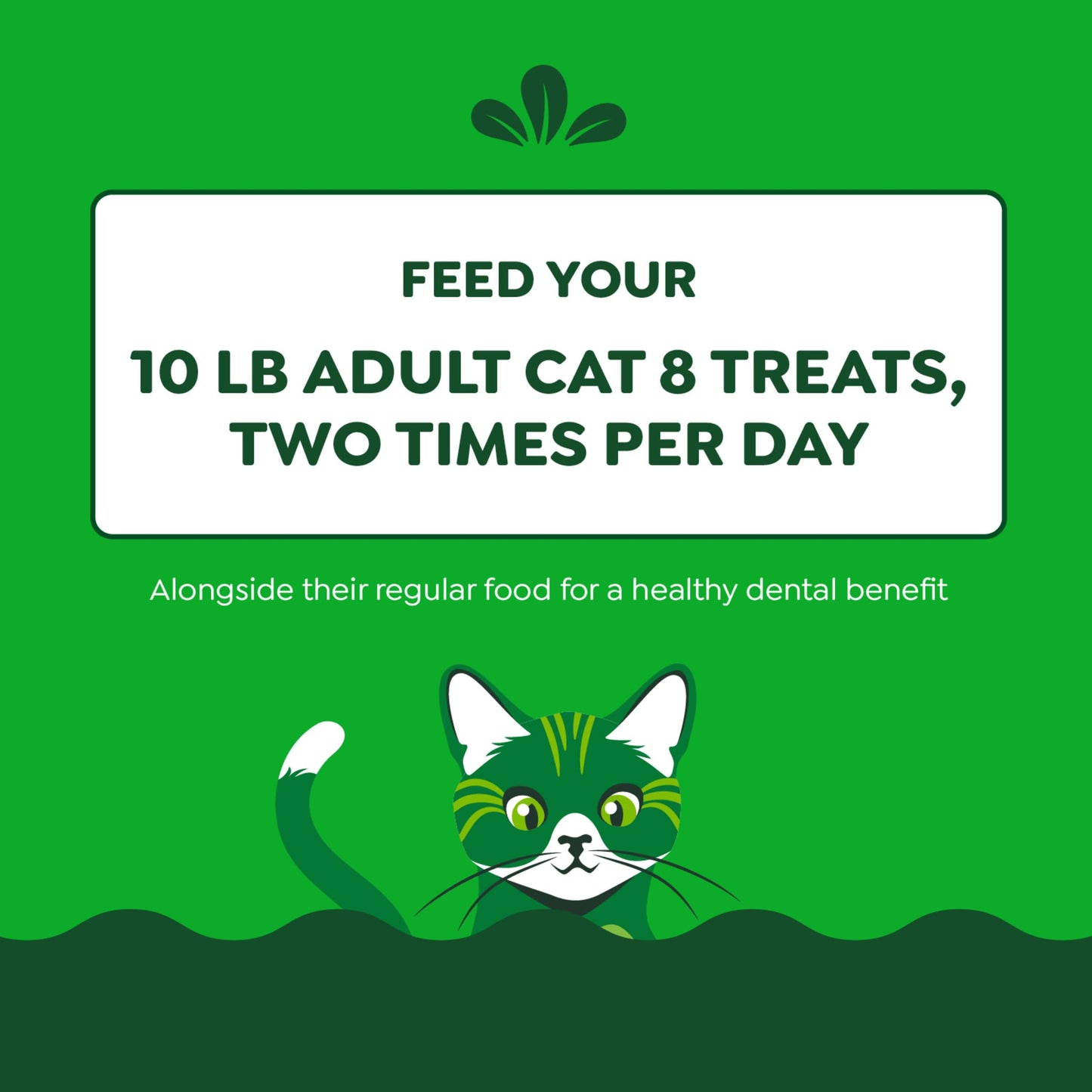 FELINE GREENIES Dental Treats, Salmon Flavor, Mega size 4.6 oz