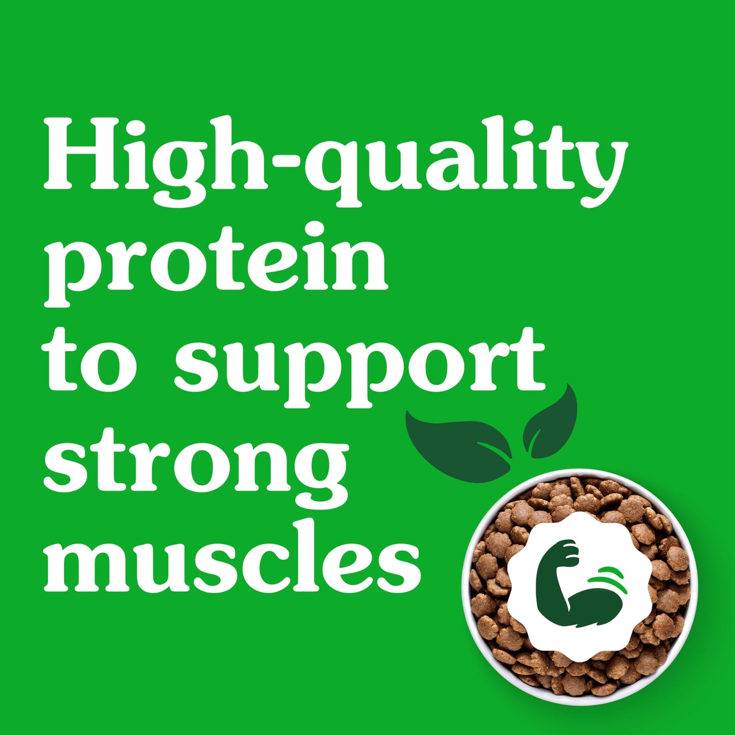 Greenies Smart Essentials Small Breed Adult High Protein Dry Dog Food Real Chicken & Rice Recipe, 13.5 lb. Bag