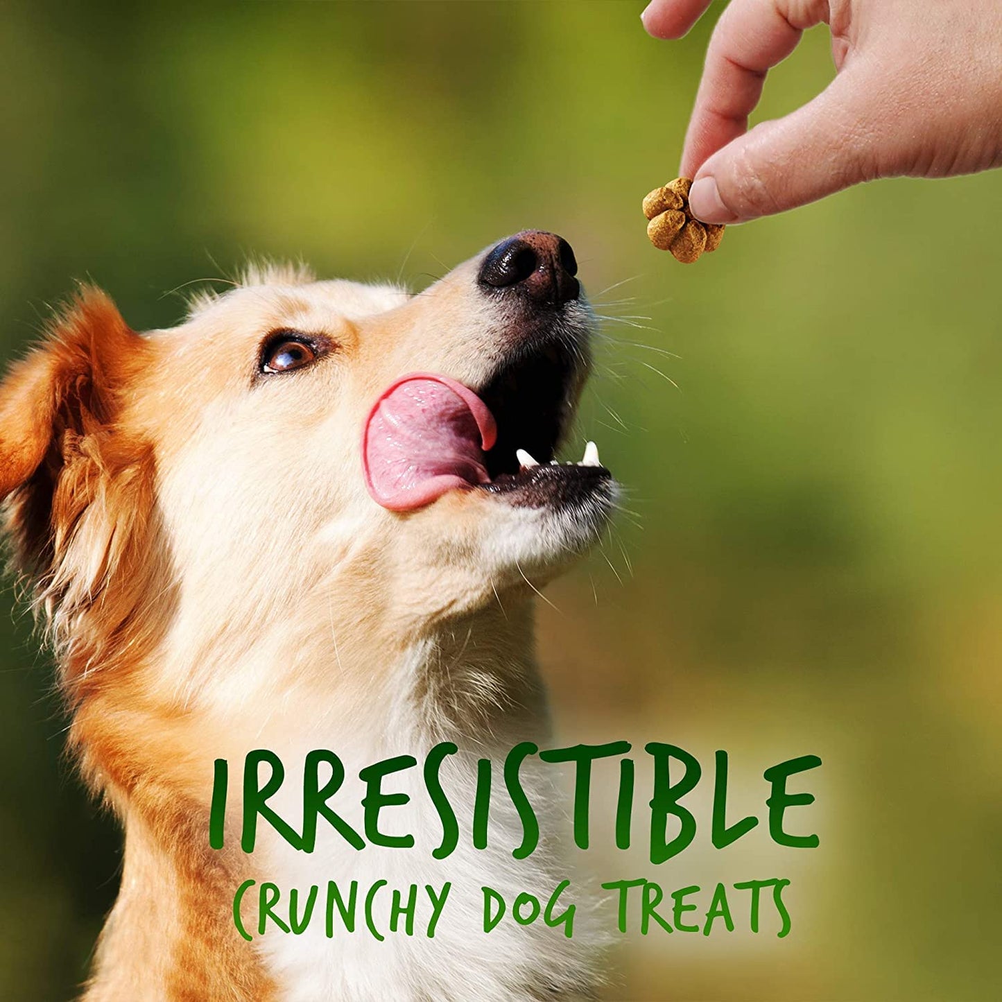 Fruitables Baked Dog Treats, Healthy Pumpkin Treat for Dogs, Low Calorie & Delicious, Free of Wheat, Corn and Soy, Made in the USA, Pumpkin and Apple Flavor, 7oz