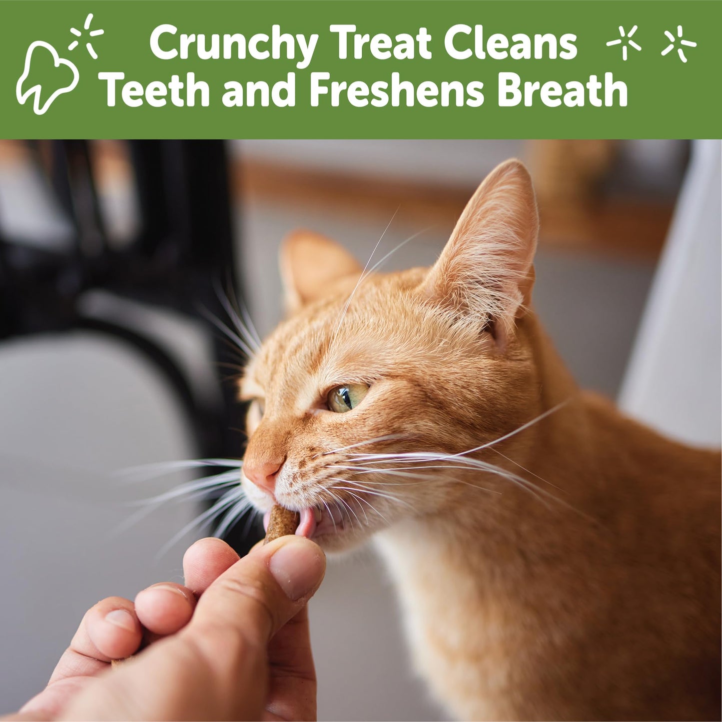 WHIMZEES Wellness Cat Dental Treats, Natural Chews, Chicken and Tuna Flavor, (2 Ounce Bag)