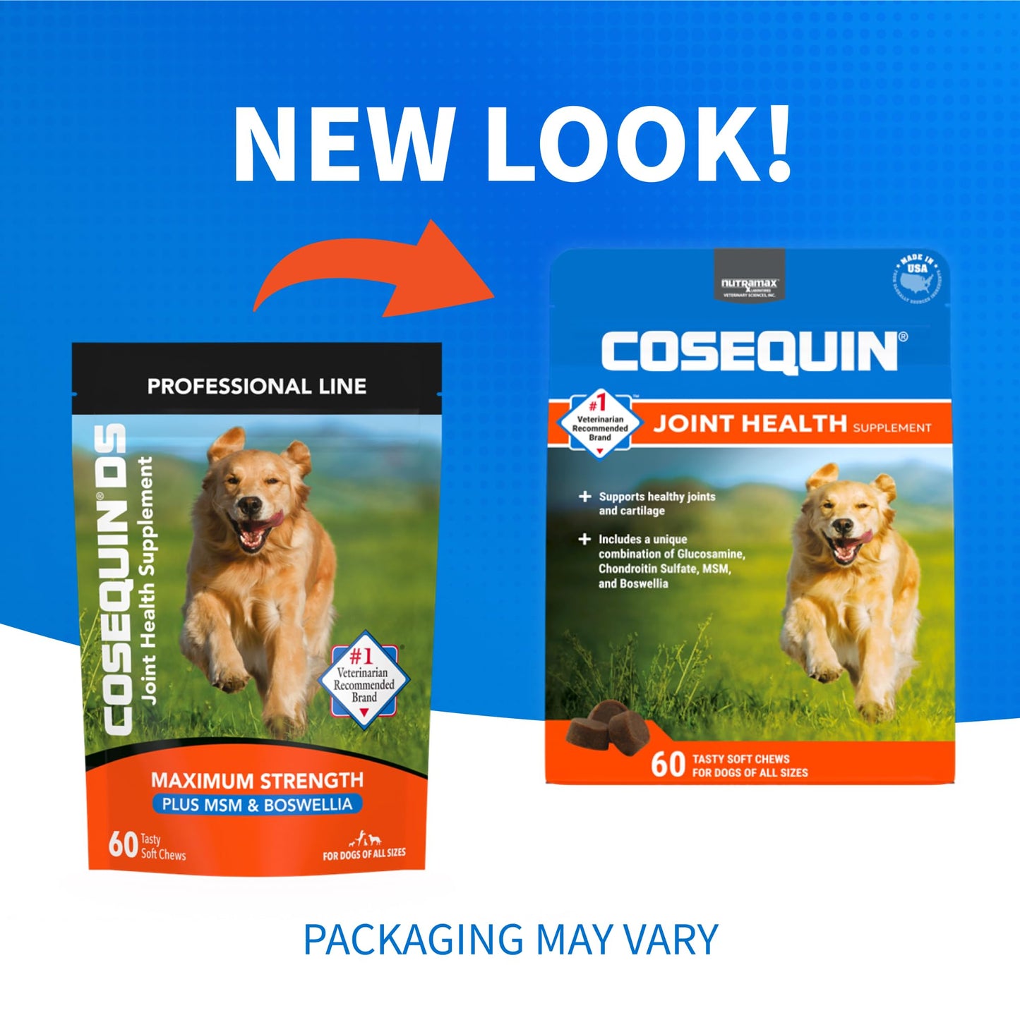 Nutramax Laboratories Cosequin DS Plus MSM Professional Line for Dogs, 60 soft chews