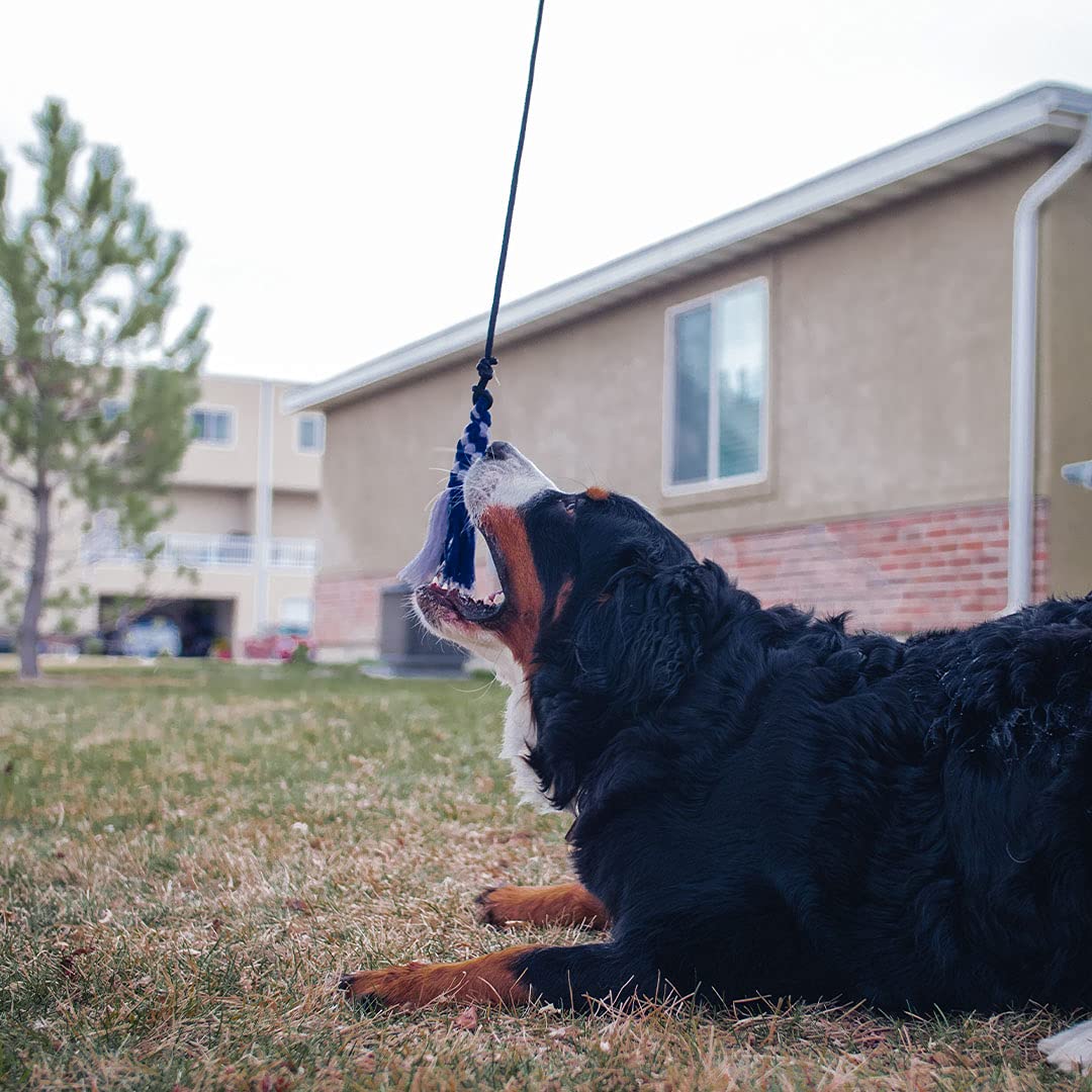 Pupford Flirt Pole for Large Dogs - Training, Exercise and Play for Puppies and Adult Dogs