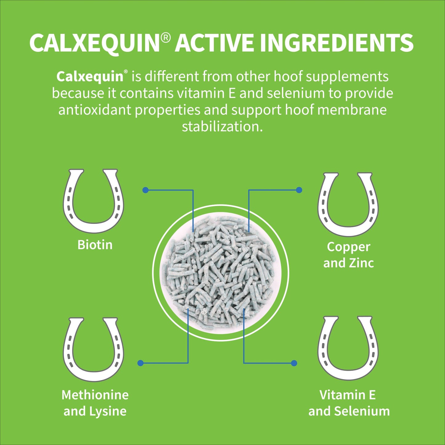 Nutramax Calxequin Pellets Daily Hoof Support for Horses with Biotin, Vitamin E, & Selenium, 1260 Grams, from The Makers of Cosequin