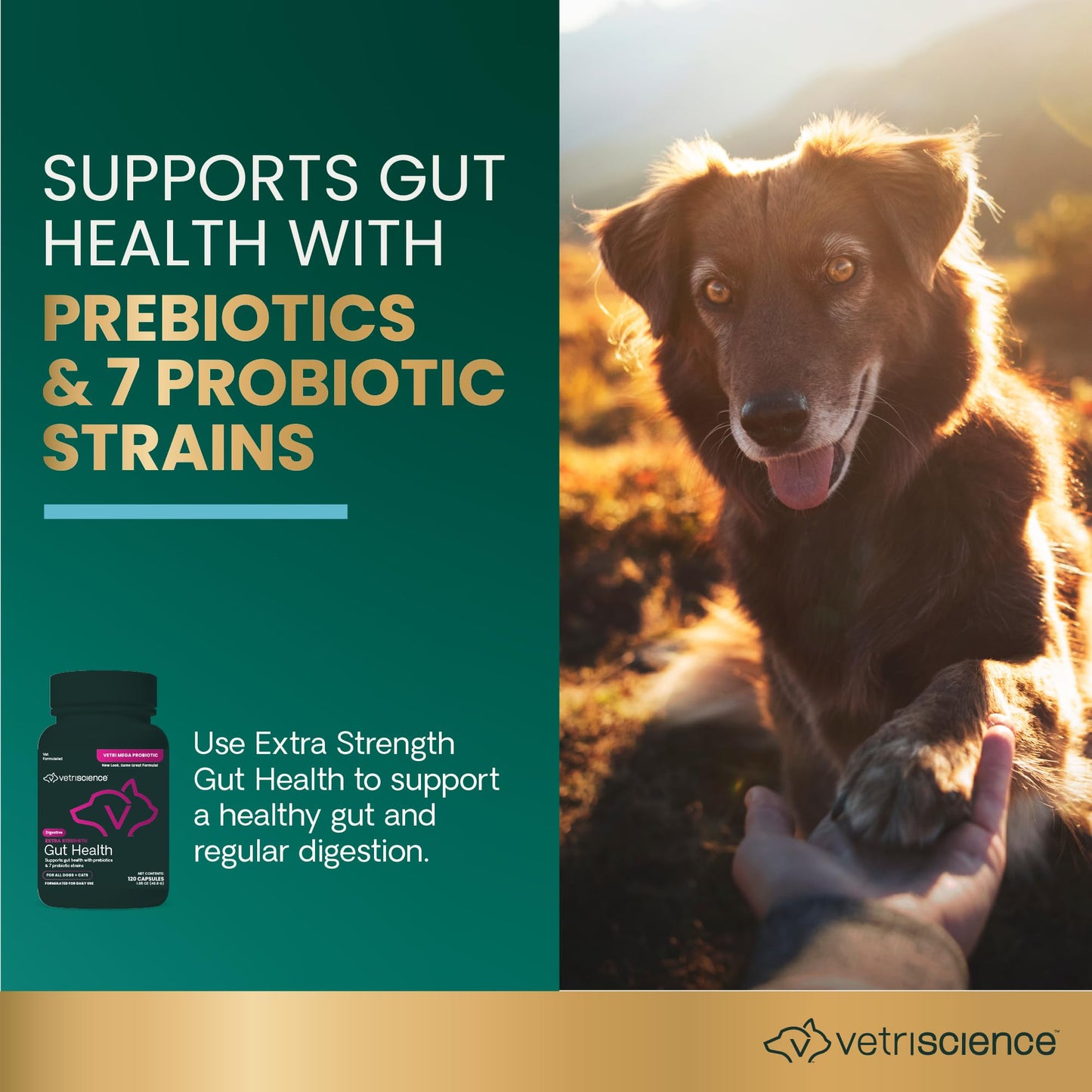 VetriScience Extra Strength Gut Health Easy-Open Capsules, Mega Probiotic and Prebiotic Digestive Supplement for Dogs and Cats, for Diarrhea and Immune Support, 7.5 Billion CFU Per Capsule, 120 Count