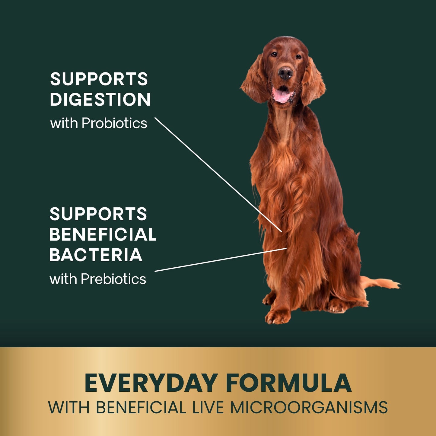 VetriScience Gut Health Chews, Probiotic Everyday Digestive Supplement for Dogs, Digestion Support, Gas & Diarrhea, Immune Support, 1 Billion CFU Per Chew, Duck, 120 Count
