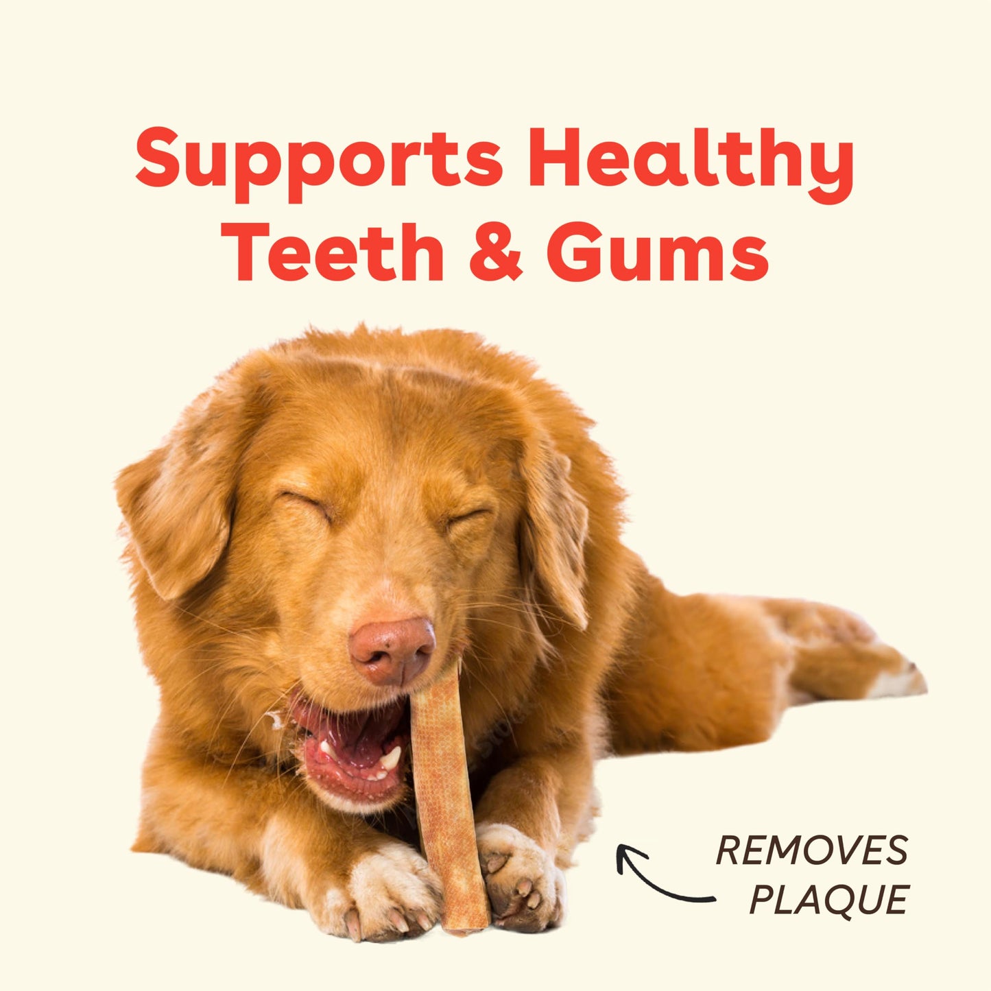 Pupford Yak Cheese Chews for Dogs & Teething Puppies, Natural, Long-Lasting Himalayan Dental Treats (3 Pack Medium)