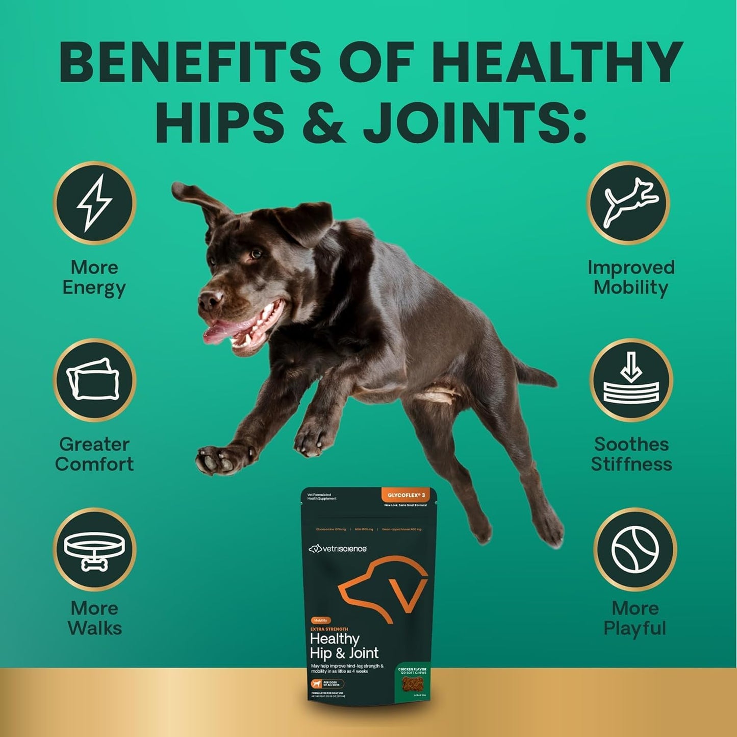 VetriScience Extra Strength Healthy Hip & Joint Chews, GlycoFlex Glucosamine and Green-Lipped Mussel Joint Support Supplement for Dogs, Promote Mobility and Soothe Joint Discomfort, Chicken, 120 Count