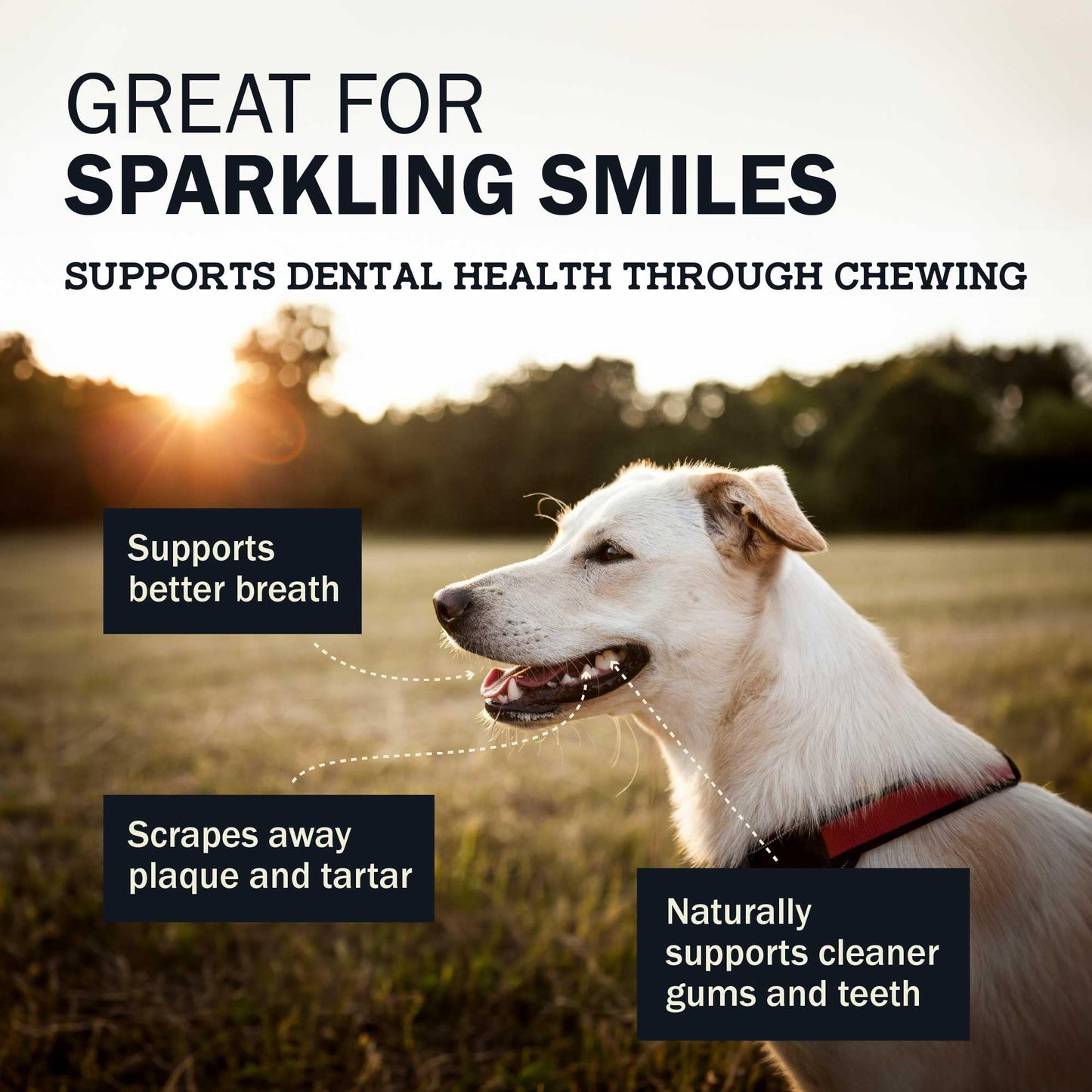 Redbarn Natural Dur-A-Bulls Treats for Dogs - 3 Large Tires - Hickory Flavor - Made in USA Long Lasting 100% Digestible No Artificial Ingredients or Plastic