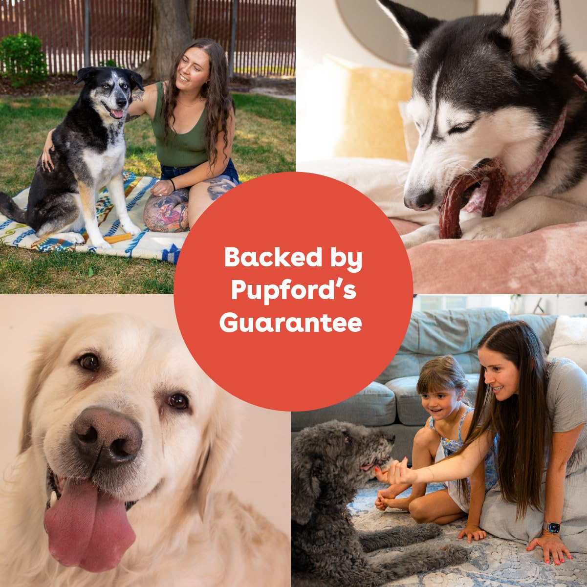 Pupford Bully Stick Rings for Puppies & Dogs, Long-Lasting Beef Dog Chew Treats, 3 Pack
