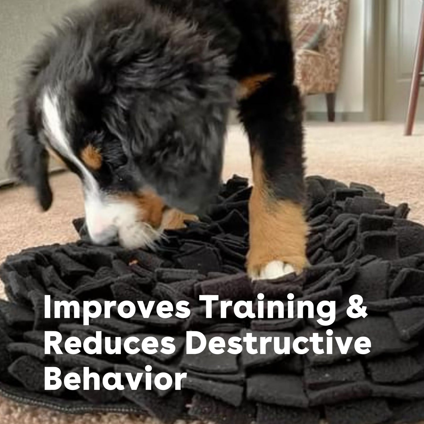 Pupford Snuffle Mat for Dogs, Mental Enrichment Puzzle Toy for Training, Anxiety Relief & Boredom Reduction (18.5” x 12.5”, Brown)