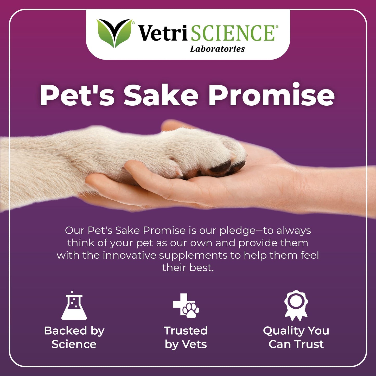 VetriScience Allergy & Itch Support Chews, Skin and Coat Supplement for Dogs, Allergy Chews for Itching, Scratching, and Licking, Support Skin and Immune Health, Duck, 75 Count