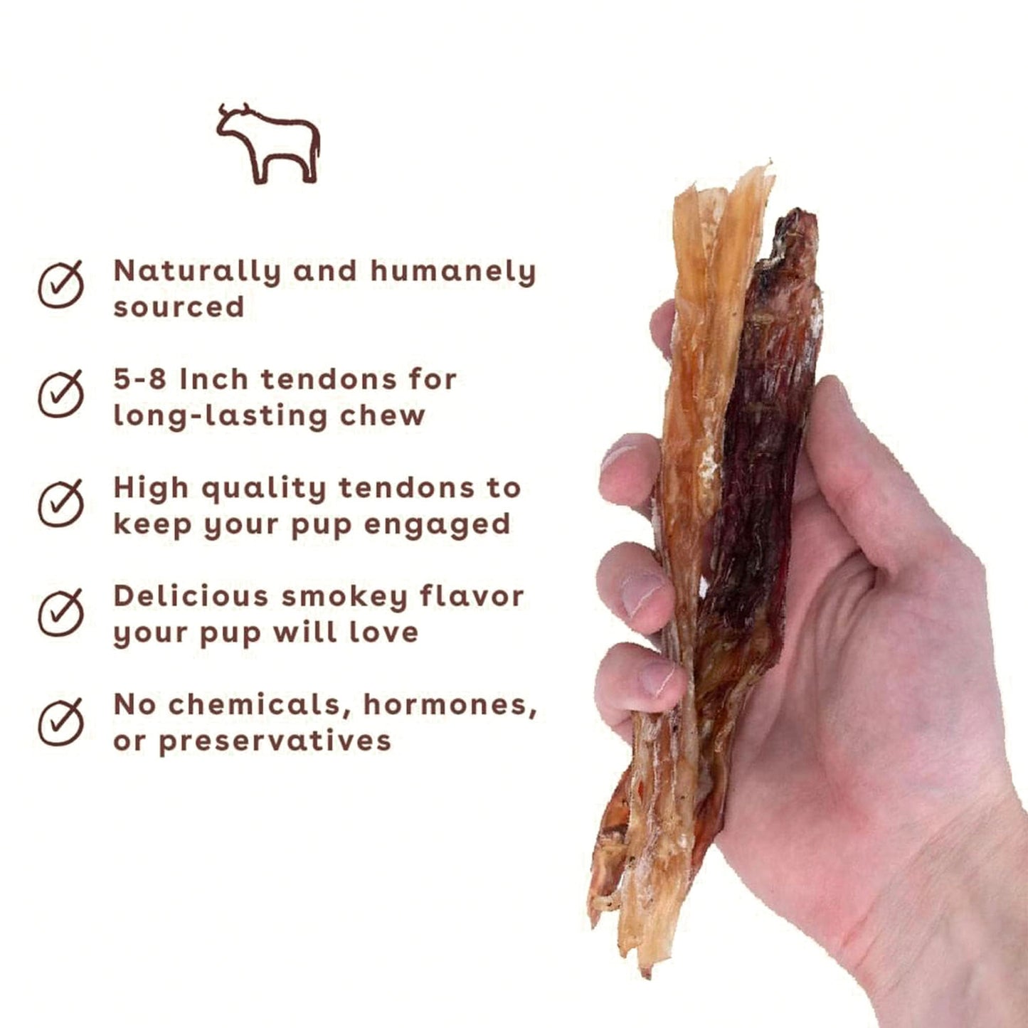 Pupford Standard Beef Tendon Chews for Dogs & Puppies, All-Natural Dog Chew with Glucosamine for Joint Health, Long-Lasting Toy, Great for Teething (10 Count)